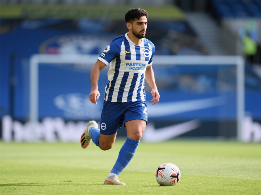 是能点燃球 是能点燃球